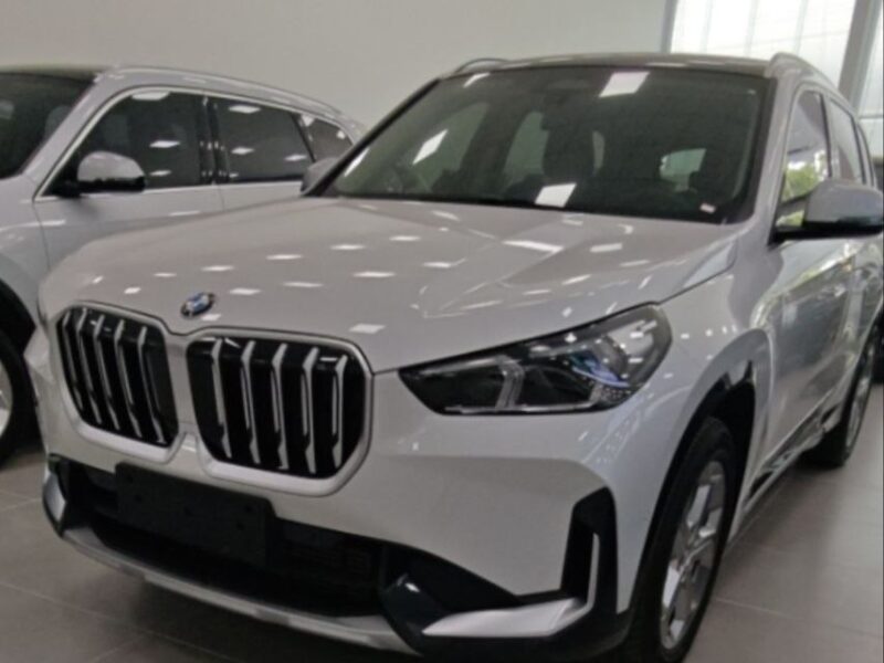 BMW X1 20Li sDrive