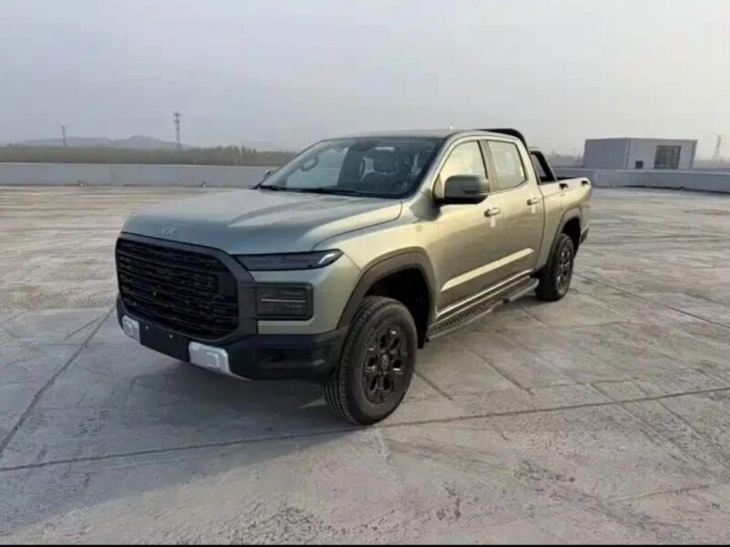 Chery Rely
