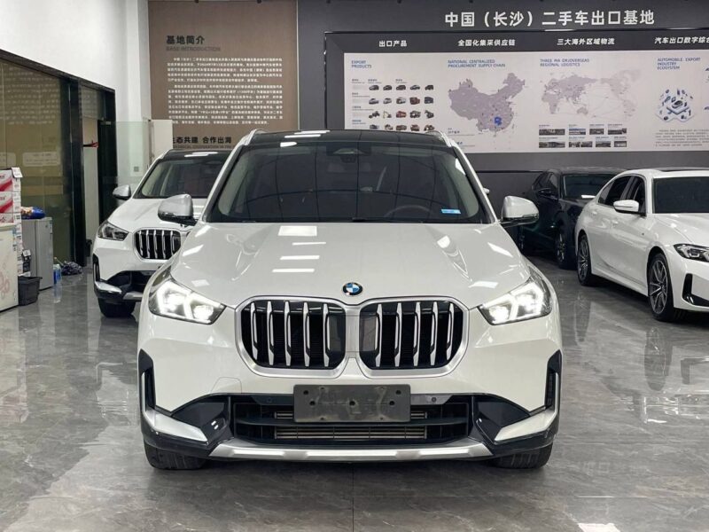 BMW X1 sDrive20Li X Design